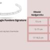 Bransoletka bangle Pandora Signature