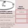 sciągana bransoletka o splocie wężykowym pandora moments